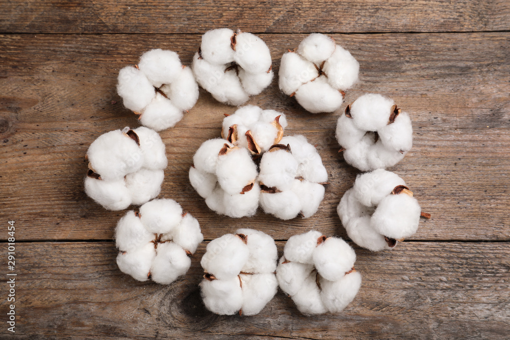 Flat lay composition with cotton flowers on wooden background Flat lay composition with cotton flowers on wooden background