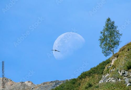 Mond in den Alpen photo