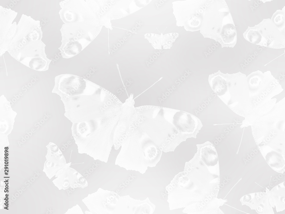 Fototapeta premium Seamless pattern with lacy white butterflies on a gentle background in pastel colors.