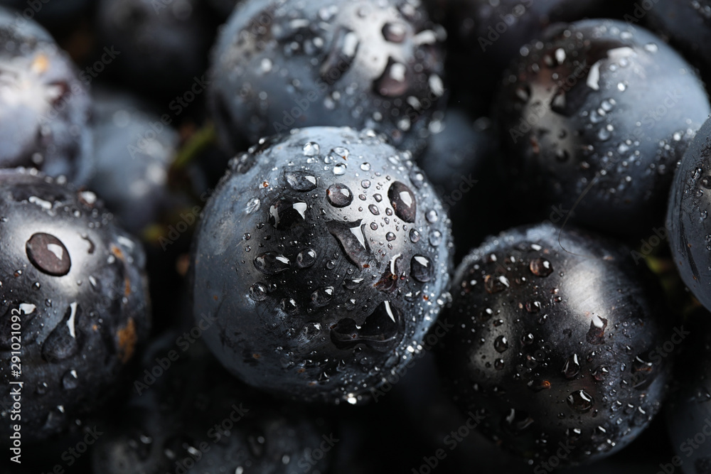 Fresh ripe juicy black grapes as background, closeup view Fresh ripe juicy black grapes as background, closeup view