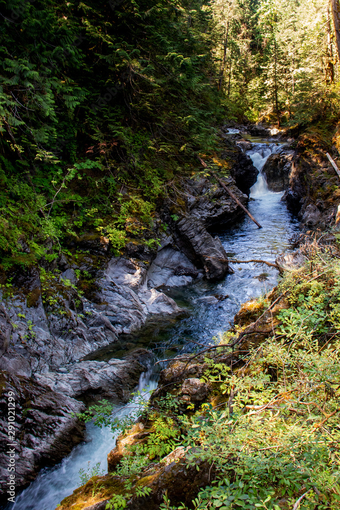 A smaller waterfalls upstream - Englishman river falls, Vancouver Island, BC