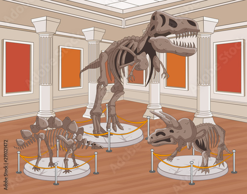 Fototapeta Naklejka Na Ścianę i Meble -  Group of dinosaur skeletons at archeology museum. 