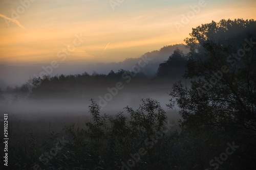 Morning landscape, sunrise, autumn, trees, leaves, translucent, yellow, green, grass, fog, mist, nature, forest, park, woods, reeds, leaves, grass