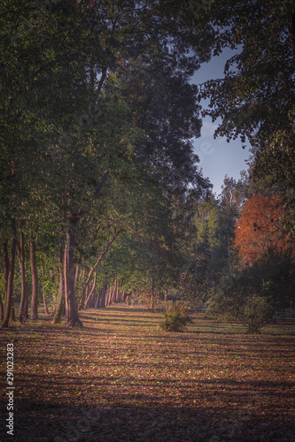 Moldavian autumn parks