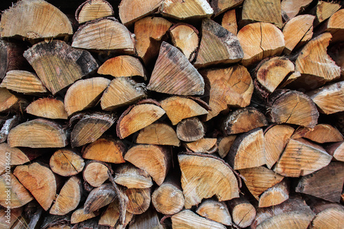 Firewood, wood stump backgound, close up of longs in a pile, trees background