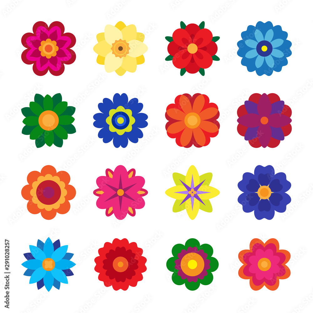 vector collection of colorful flowers on white background