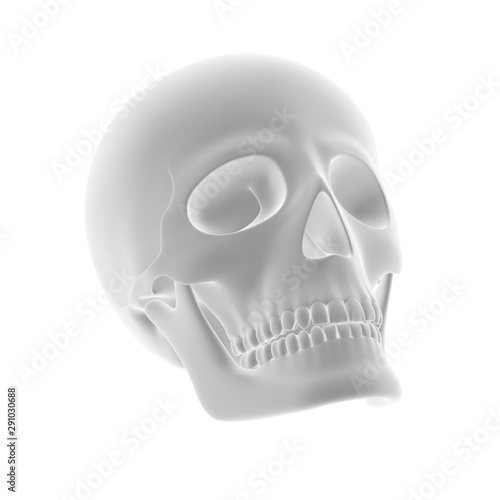 The geometry of a skull. 3D Illustration.