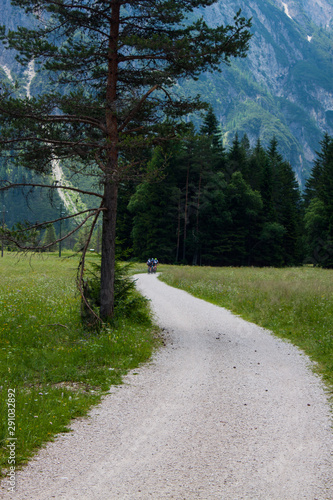 Dolomites Italien Mountaun and green forest and blue sky 