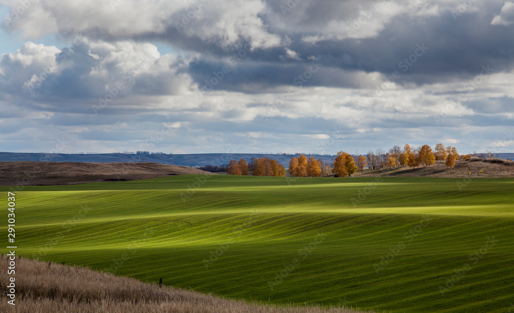 Panorama of a green field in autumn in the countryside