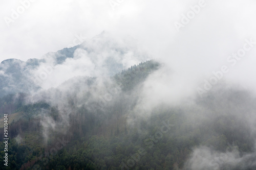 Fog in the mountains in the Polish Tatras