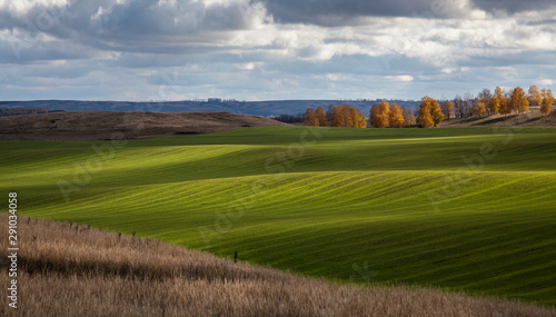 Panorama of a green field in autumn in the countryside