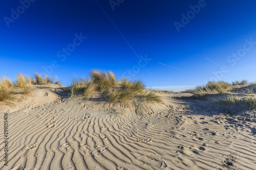 Sand dunes at the end winter period with wind ridges in the sand and beach grass vegetation against clear blue sky