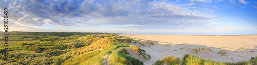 Panorama of young sand dunes formed by flooding at high tides and from sea with ridges in the sand and beach grass vegetation against clear blue sky and a dog in the background photo