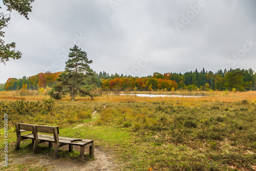 Autumn landscape in forests of Drenthe with a Lake against gray sky with dark clouds