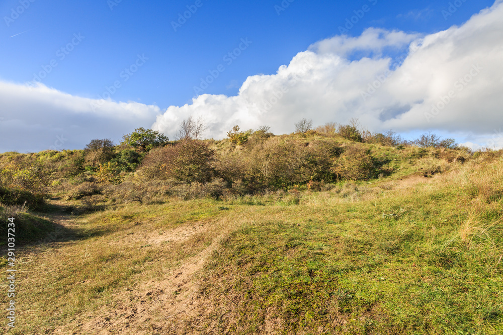 Dutch dune landscape Kraansvlak at coastal town of  Zandvoort during  autumn