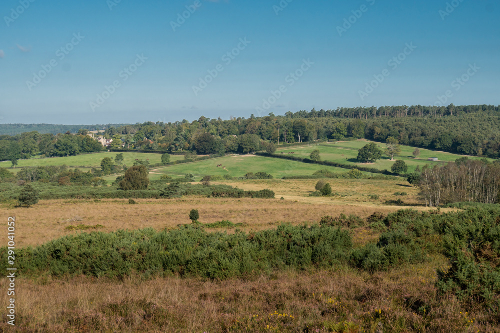 Ashdown Fores, East Sussex, UK