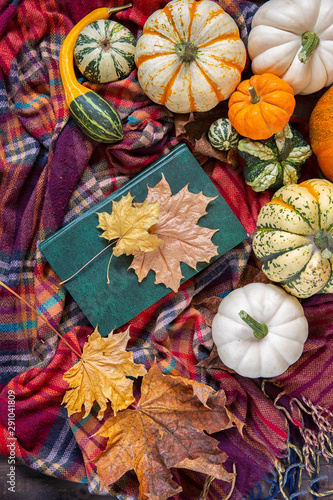 Autumn harvest. Decorative pumpkins of different varieties and a book on a plaid blanket . top view.wooden background.Maple leaf