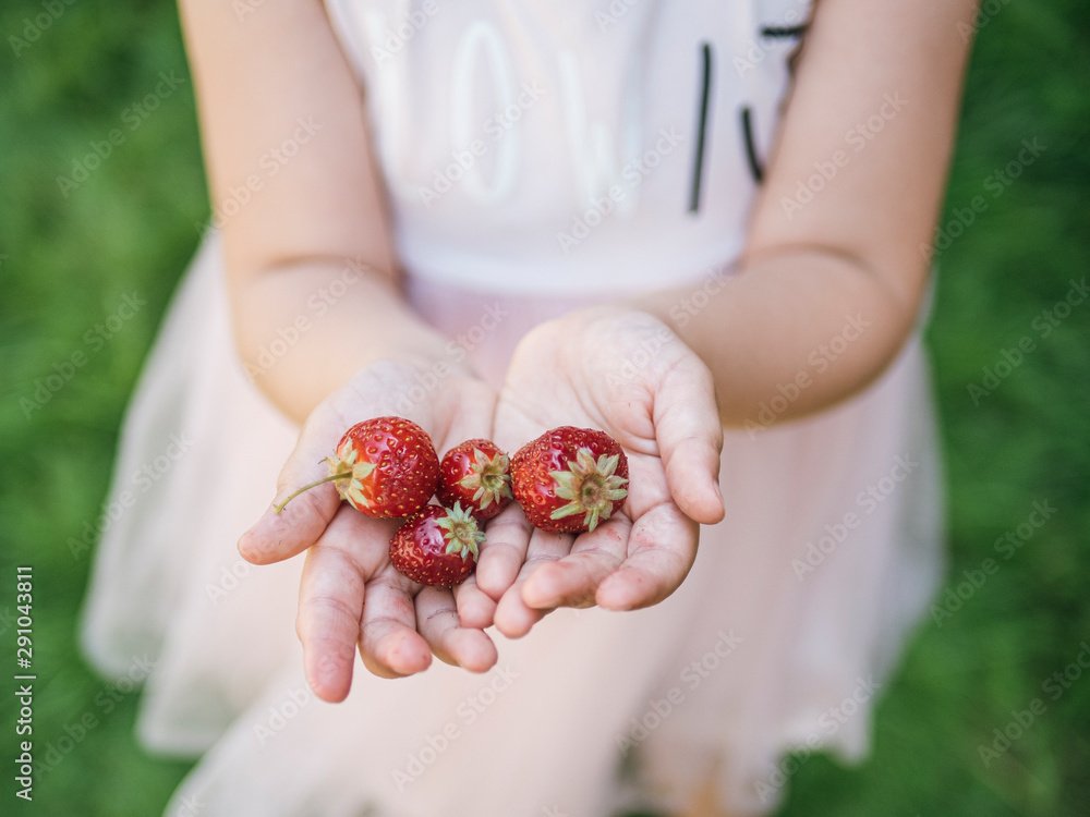 Obraz premium Freshly cut strawberries in the hands of little girl