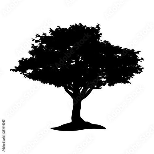 Tree logo	