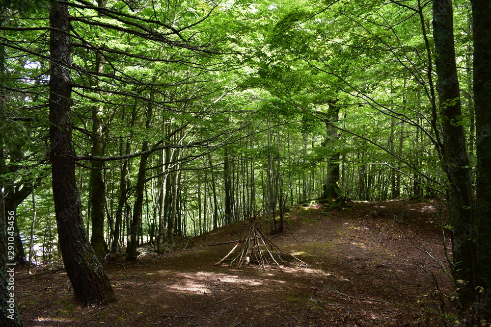 Obraz premium Naturaleza