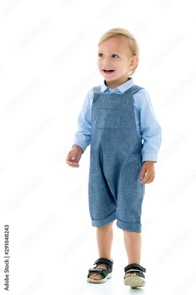 Handsome little boy laughing.The concept of a happy childhood Handsome little boy laughing.The concept of a happy childhood