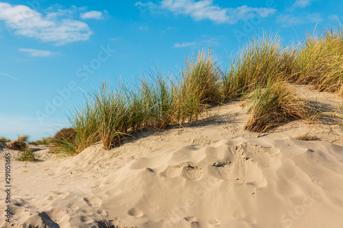 Sanddünen am Strand in IJmuiden in Holland Niederlande blauer Himmel mit Wolken