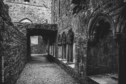 Bective Abbey 
