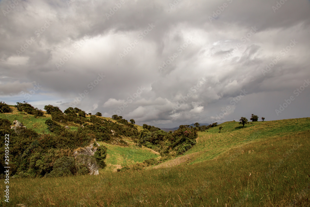 Landscape scenery of the Teatinos paramo, with overcasted sky at sunset, in the higlands of the Andean mountains of central Colombia.