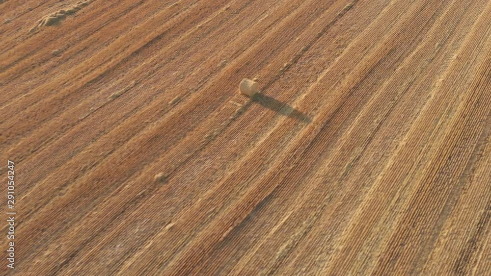 Drone video over a prairie wheat field that has been harvested and now has round bales of straw casting long shadows. Drone is at a moderate height and moving forward along the direction of the rows. Drone video over a prairie wheat field that has been harvested and now has round bales of straw casting long shadows. Drone is at a moderate height and moving forward along the direction of the rows.