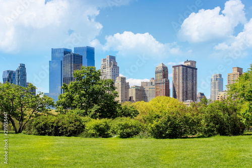 Iconic view of sunlit New York city skyline from flourishing Central Park at spring, with foreground grass, bushes and trees © Nikola
