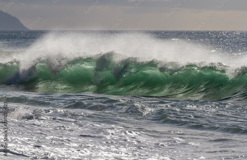 Backlit Ocean wave in Hawaii