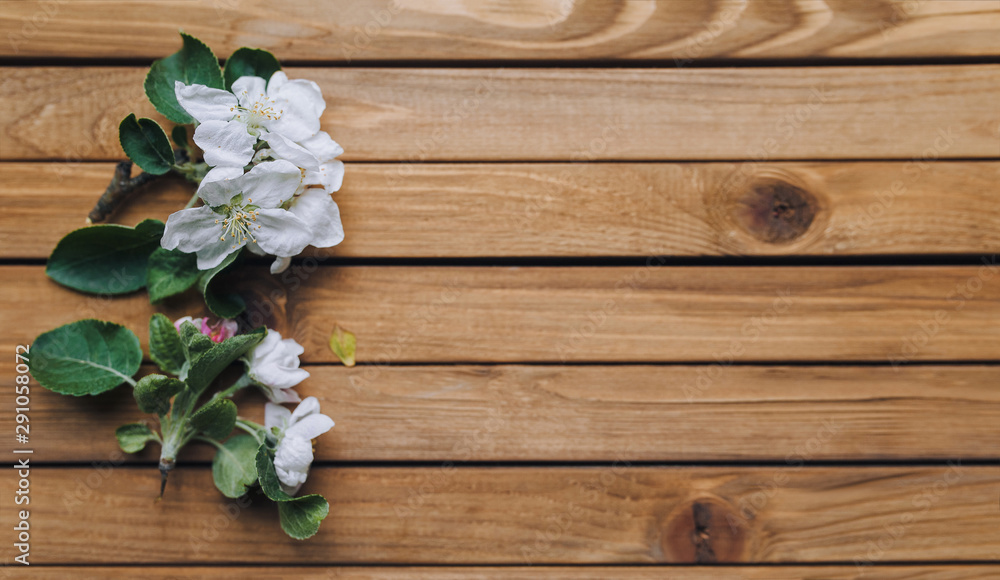 Flowering branch lie on wooden background. Apple blossoms. Copy space, mockup. White flower. Flowering branch lie on wooden background. Apple blossoms. Copy space, mockup. White flower.