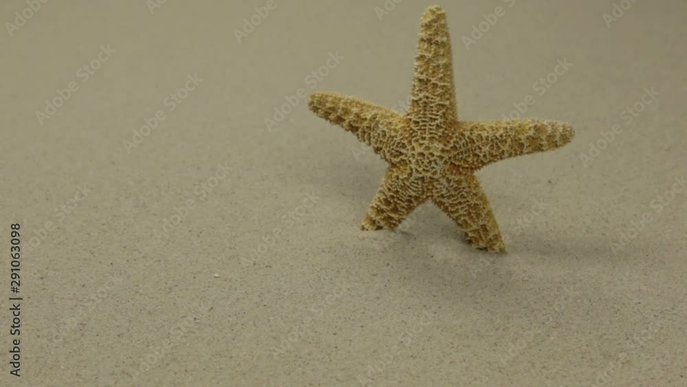 Starfish on sand. Slider shot. Sea summer vacation background Starfish on sand. Slider shot. Sea summer vacation background
