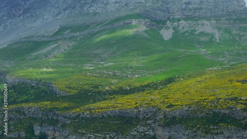 ERIZON (Echinospartum horridum), Garganta de Escuain , Ordesa y Monte Perdido National Park, Sobrarbe, Huesca Province, Aragon, Spain, Europe photo