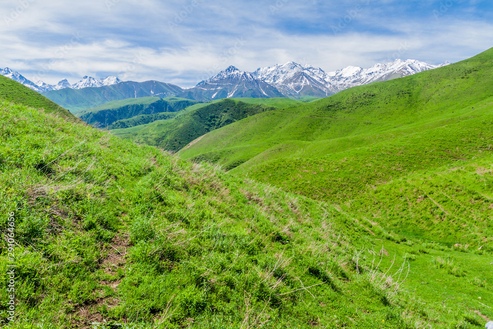 Pastures of Alamedin valley with high snow covered mountains background, Kyrgyzstan