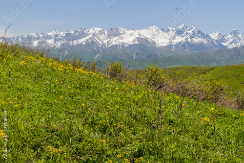 Green pastures above  Alamedin valley with high snow covered mountains background, Kyrgyzstan photo