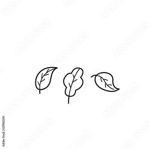 Hand drawn Leaf isolated on a white. Sketch. Vector illustration.