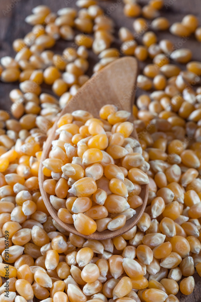 Dry corn kernels on a wooden spoon and pile of dry corn kernels, set on a wooden table. Dry corn kernels on a wooden spoon and pile of dry corn kernels, set on a wooden table.