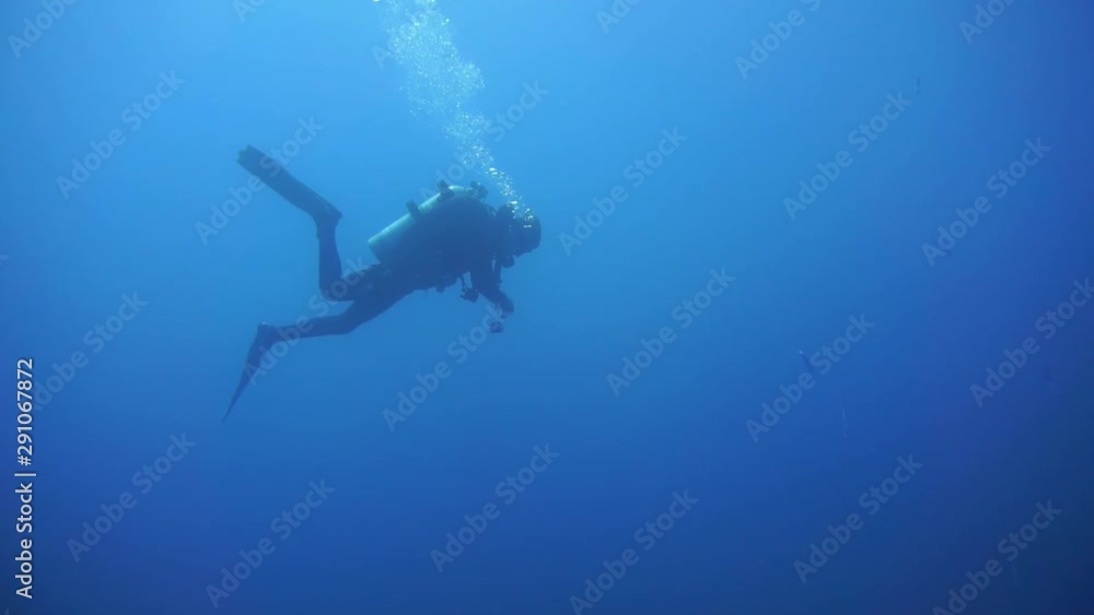 Scuba diver. Deep Blue water. Scuba diver. Deep Blue water.