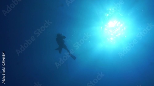 Wallpaper Mural diver under sun beams and light underwater Torontodigital.ca