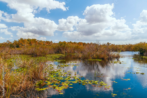 View of freshwater marsh from Anhinga Trail boardwalk in Everglades National Park.Florida.USA