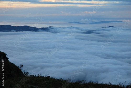 fog over the lake