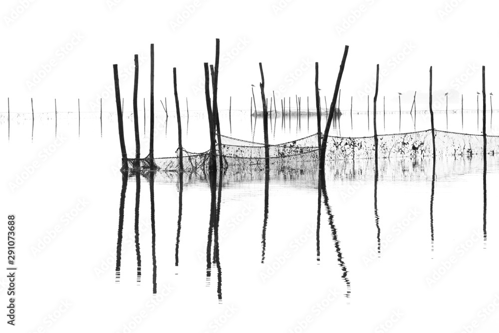 Black and white shot of a foggy lagoon with wooden poles and fishing nets reflecting on water Black and white shot of a foggy lagoon with wooden poles and fishing nets reflecting on water