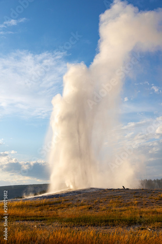 Old Faithful Geyser Erupts at Yellowstone National Park