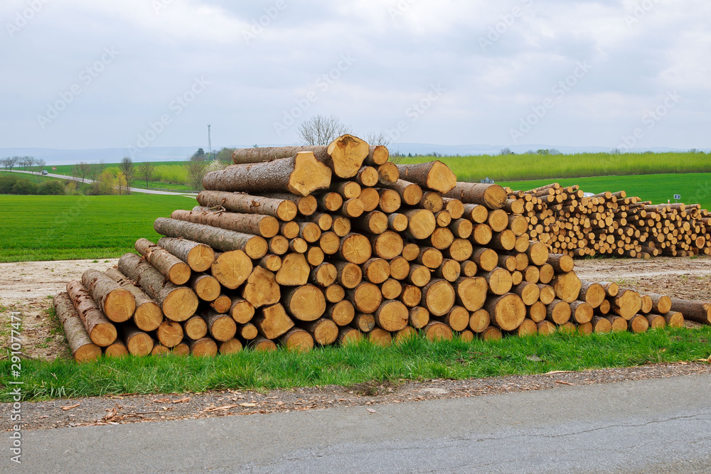 A pile of wooden logs lie on the grass near the road. The problem of deforestation. Ecological problem.