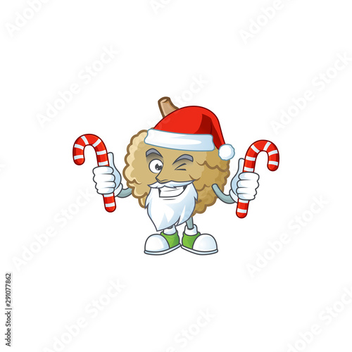 Santa with candy marolo fruit cartoon character mascot style. photo