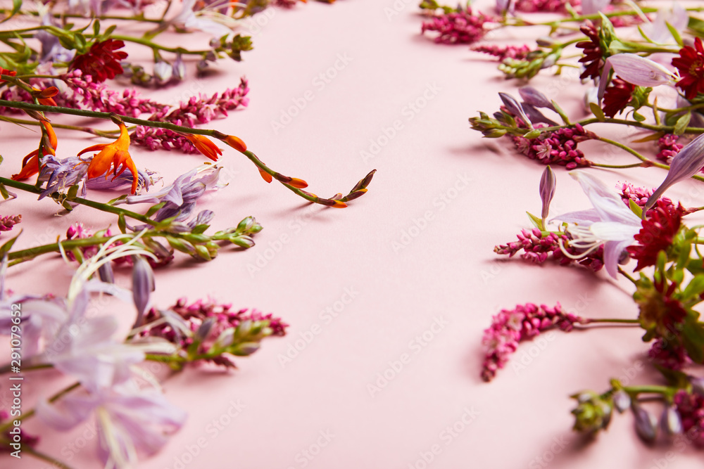 diverse fresh wildflowers on pink background with copy space