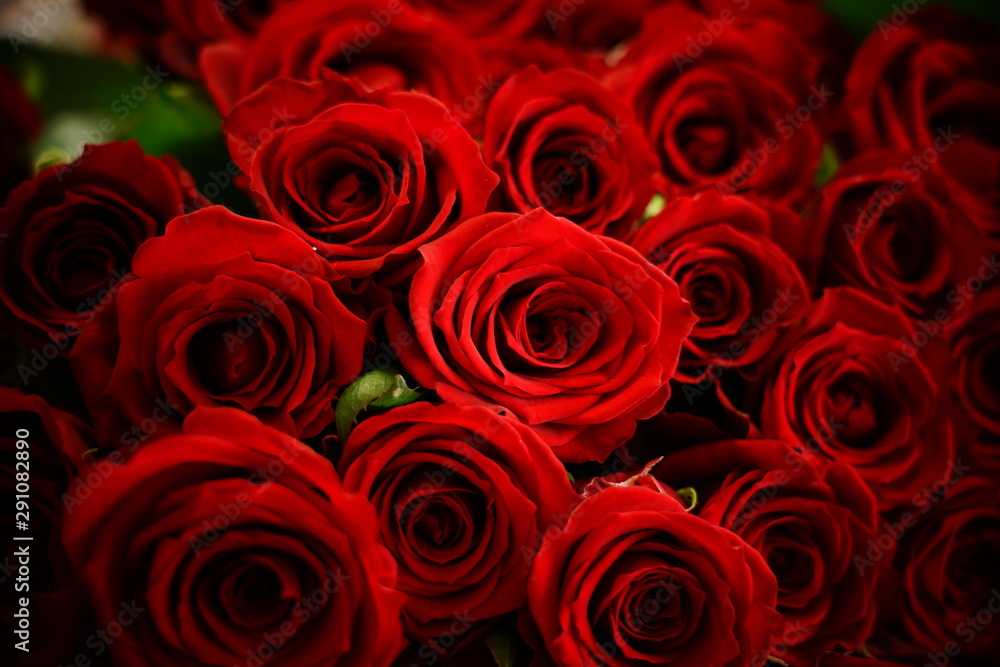 50本の薔薇の花束 50本の薔薇の花束