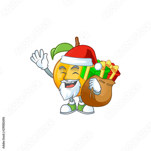 Santa with gift seeds nutmeg cartoon on white background