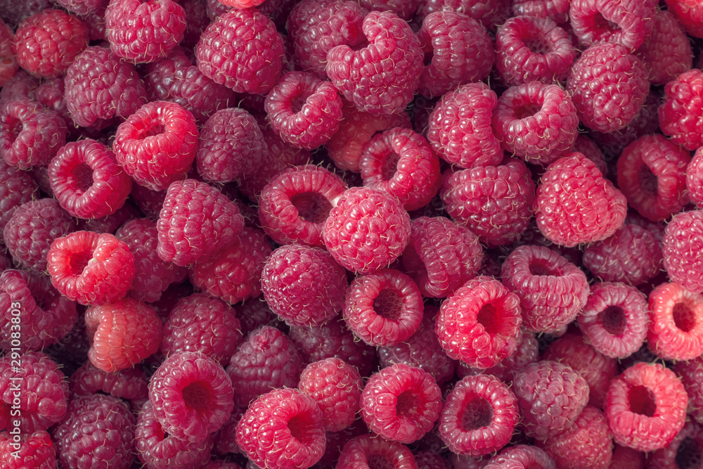 background with ripe raspberries. raspberries flat lay. texture of raspberries. background with ripe raspberries. raspberries flat lay. texture of raspberries.